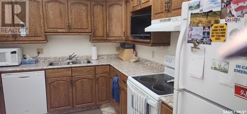 207 453 Walsh Trail, Swift Current, SK - Indoor Photo Showing Kitchen With Double Sink