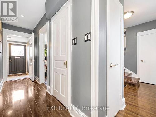 95 Edinburgh Avenue, Hamilton, ON - Indoor Photo Showing Other Room