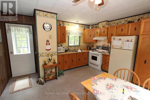 68 Methuen Street, Havelock-Belmont-Methuen, ON - Indoor Photo Showing Kitchen With Double Sink