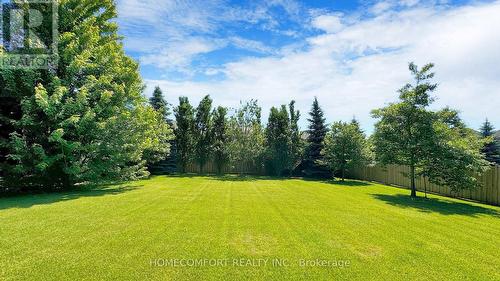 11 Macleod Estate Court, Richmond Hill, ON - Outdoor