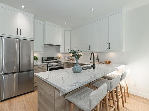 482 Grafton St, Esquimalt, BC - Indoor Photo Showing Kitchen With Stainless Steel Kitchen With Upgraded Kitchen