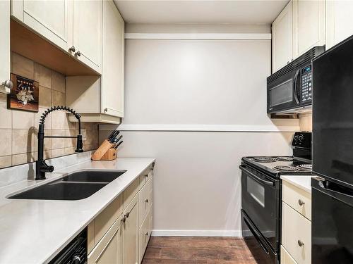 103-909 Pembroke St, Victoria, BC - Indoor Photo Showing Kitchen With Double Sink