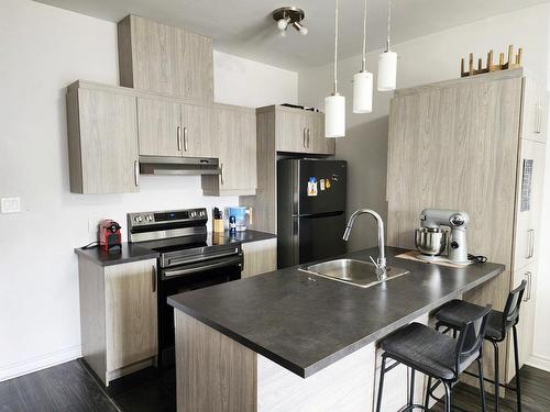 Cuisine - 308-8255 Boul. Leduc, Brossard, QC - Indoor Photo Showing Kitchen With Double Sink