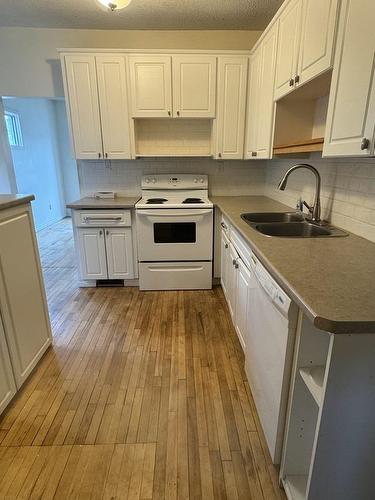 260 High Street N, Thunder Bay, ON - Indoor Photo Showing Kitchen With Double Sink