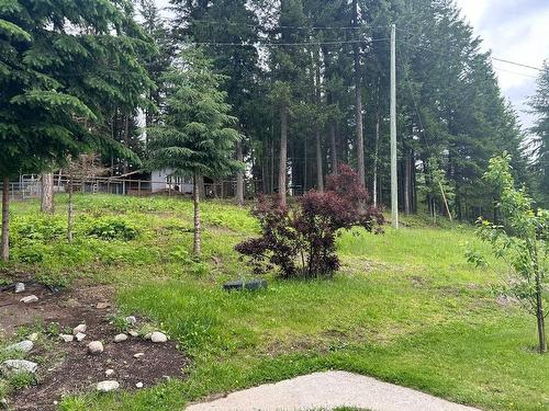 880 Heather Road, Clearwater, BC - Outdoor