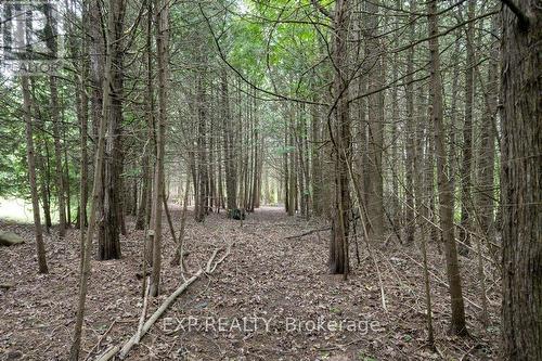 3526 Harmony Road, Belleville, ON - Outdoor With View