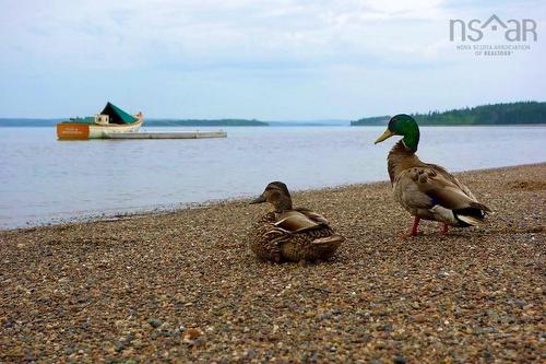 Spectacle Island, Mahone Bay, NS 