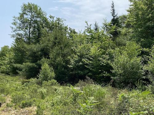 Lot 24 East Clifford Road, Lunenburg, NS 