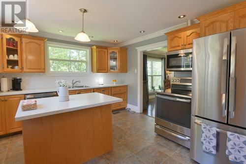 203 Airport Heights Drive, St. John'S, NL - Indoor Photo Showing Kitchen With Double Sink