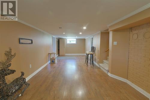 203 Airport Heights Drive, St. John'S, NL - Indoor