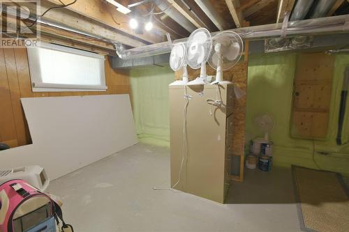 203 Airport Heights Drive, St. John'S, NL - Indoor Photo Showing Basement