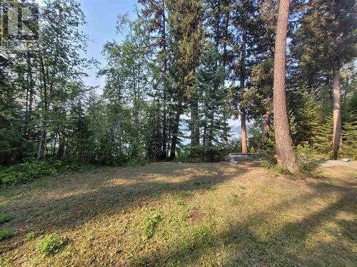 6183 Bremner Road, Williams Lake, BC 