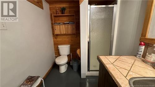 229 Beaulieu Road, Saint-François-De-Madawaska, NB - Indoor Photo Showing Bathroom