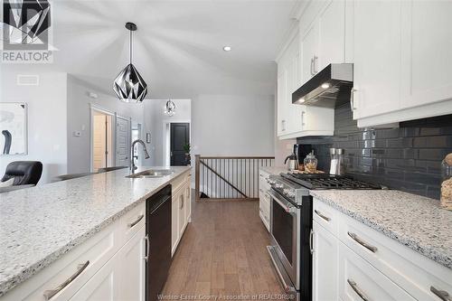 1558 Cypress, Windsor, ON - Indoor Photo Showing Kitchen With Upgraded Kitchen