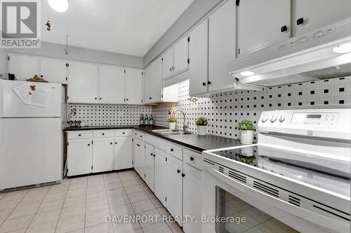 306 - 6 Shettleston Drive, Cambridge, ON - Indoor Photo Showing Kitchen With Double Sink