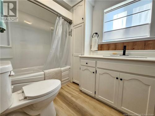 365 Sheriff Street, Grand-Sault/Grand Falls, NB - Indoor Photo Showing Bathroom