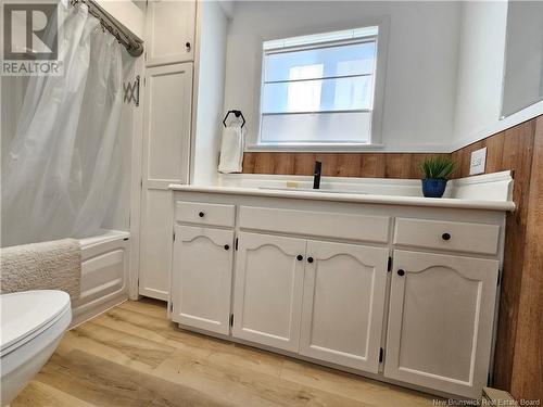 365 Sheriff Street, Grand-Sault/Grand Falls, NB - Indoor Photo Showing Bathroom