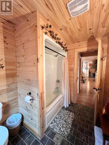 43 Pauls Lake Road, Badger, NL - Indoor Photo Showing Bathroom