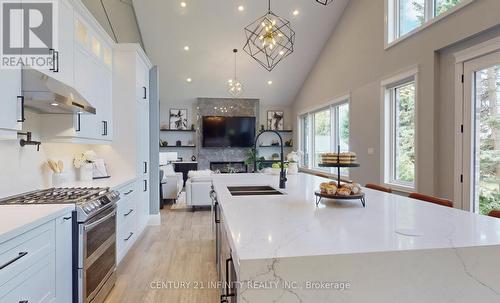 3188 Hancock Road, Clarington, ON - Indoor Photo Showing Kitchen With Double Sink With Upgraded Kitchen