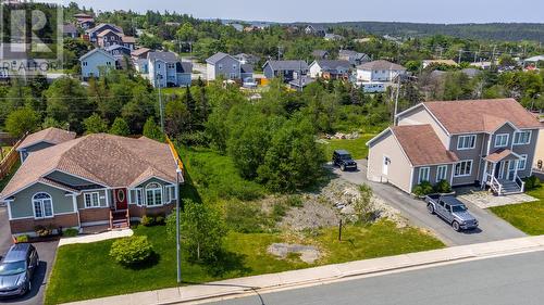 31 Carlingford Street, Paradise, NL 