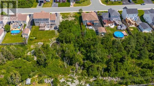 31 Carlingford Street, Paradise, NL 