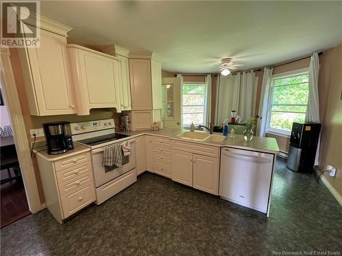 105 Bridge Street, Woodstock, NB - Indoor Photo Showing Kitchen With Double Sink