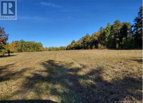 8.51 Acres Wellington Street, Miramichi, NB 