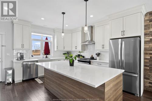 739 Brownstone Drive, Lakeshore, ON - Indoor Photo Showing Kitchen With Upgraded Kitchen