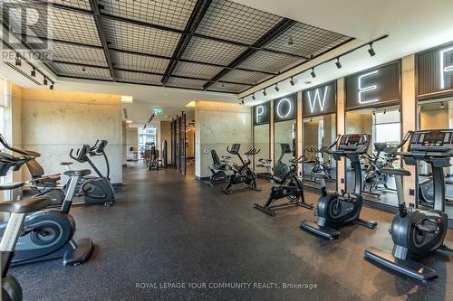 314 - 251 Manitoba Street, Toronto, ON - Indoor Photo Showing Gym Room