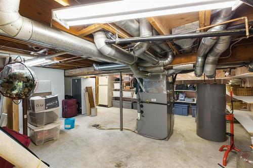 10 White Pine Place, Winnipeg, MB - Indoor Photo Showing Basement