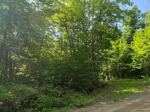 Land/Lot - 10 Ch. De La Côte, Trois-Rives, QC 