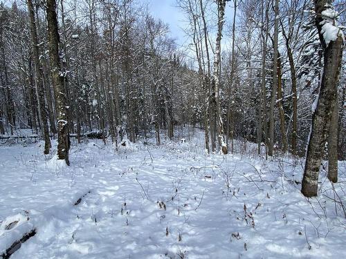 Land/Lot - 10 Ch. De La Côte, Trois-Rives, QC 