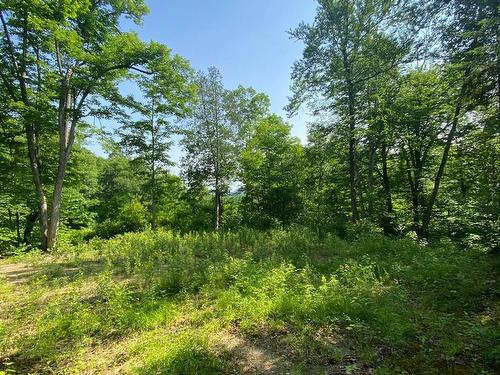 Land/Lot - 10 Ch. De La Côte, Trois-Rives, QC 