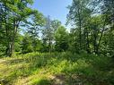 Land/Lot - 10 Ch. De La Côte, Trois-Rives, QC 