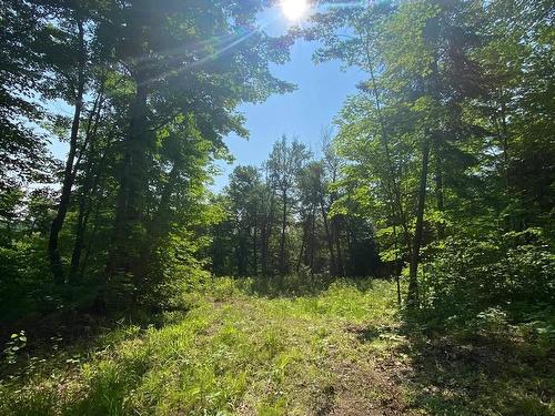 Land/Lot - 10 Ch. De La Côte, Trois-Rives, QC 