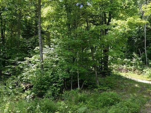 Land/Lot - 10 Ch. De La Côte, Trois-Rives, QC 