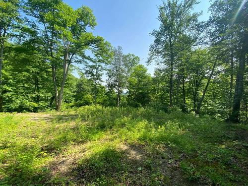 Land/Lot - 10 Ch. De La Côte, Trois-Rives, QC 