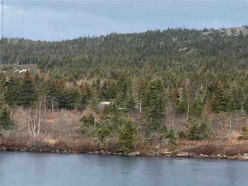 64-72 Valley Road, Spaniards Bay, NL 