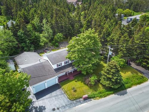 175 Bareneed Road, Bareneed, NL 