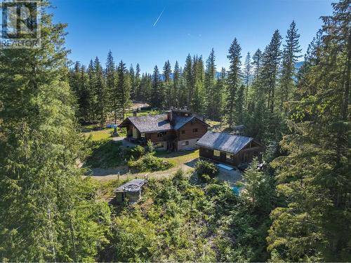 1415 Seymour River Road N, Seymour Arm, BC - Outdoor With View