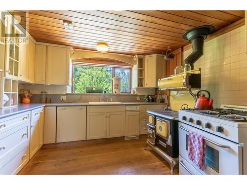 1415 Seymour River Road N, Seymour Arm, BC - Indoor Photo Showing Kitchen