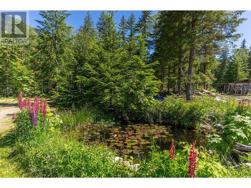 1415 Seymour River Road N, Seymour Arm, BC - Outdoor