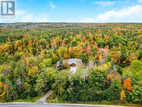 14188 Winston Churchill Boulevard, Caledon, ON - Outdoor With View