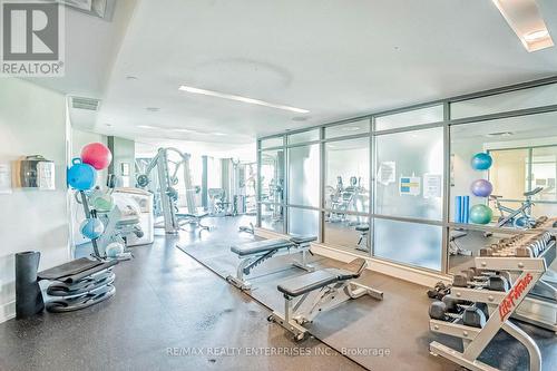 2005 - 235 Sherway Gardens Road, Toronto, ON - Indoor Photo Showing Gym Room