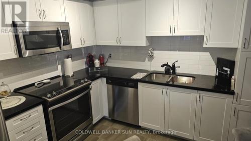 280 - 250 Sunny Meadow Boulevard, Brampton, ON - Indoor Photo Showing Kitchen With Double Sink With Upgraded Kitchen