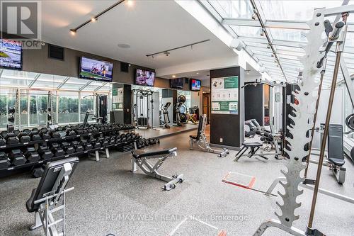 621 - 36 Blue Jays Way S, Toronto, ON - Indoor Photo Showing Gym Room