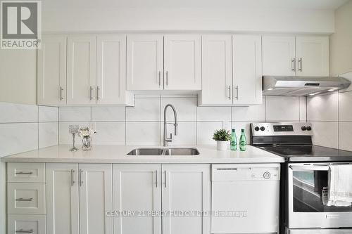 40 Thorny Vineway, Toronto, ON - Indoor Photo Showing Kitchen With Double Sink With Upgraded Kitchen