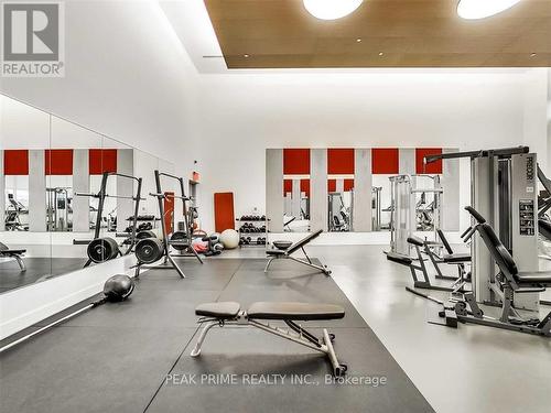 403 - 225 Sackville Street, Toronto (Regent Park), ON - Indoor Photo Showing Gym Room