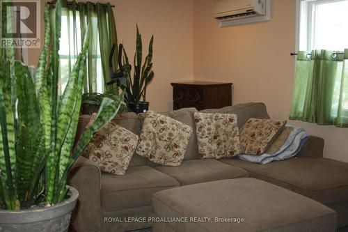 38 Murney Street, Belleville, ON - Indoor Photo Showing Living Room