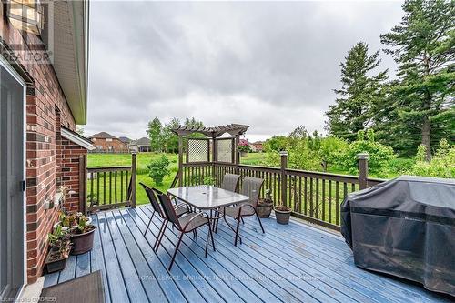 217 Donnici Drive, Hamilton, ON - Outdoor With Deck Patio Veranda With Exterior